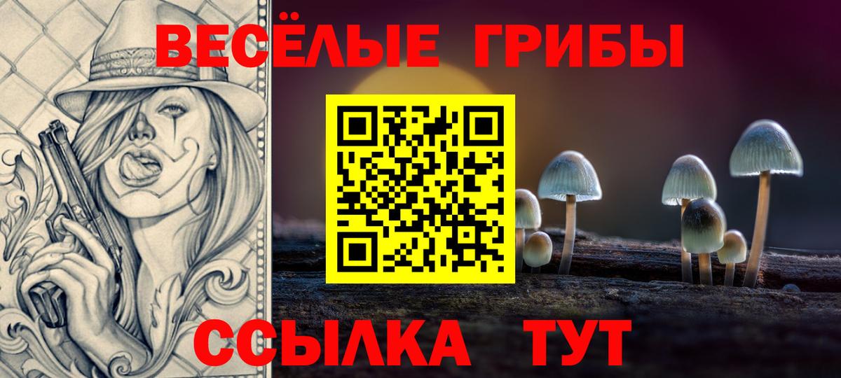 Галлюциногенные грибы GOLDEN TEACHER Камышлов